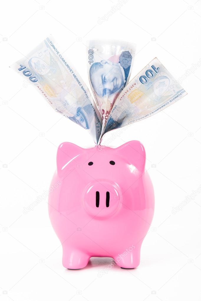 Money in Pink Piggy Bank