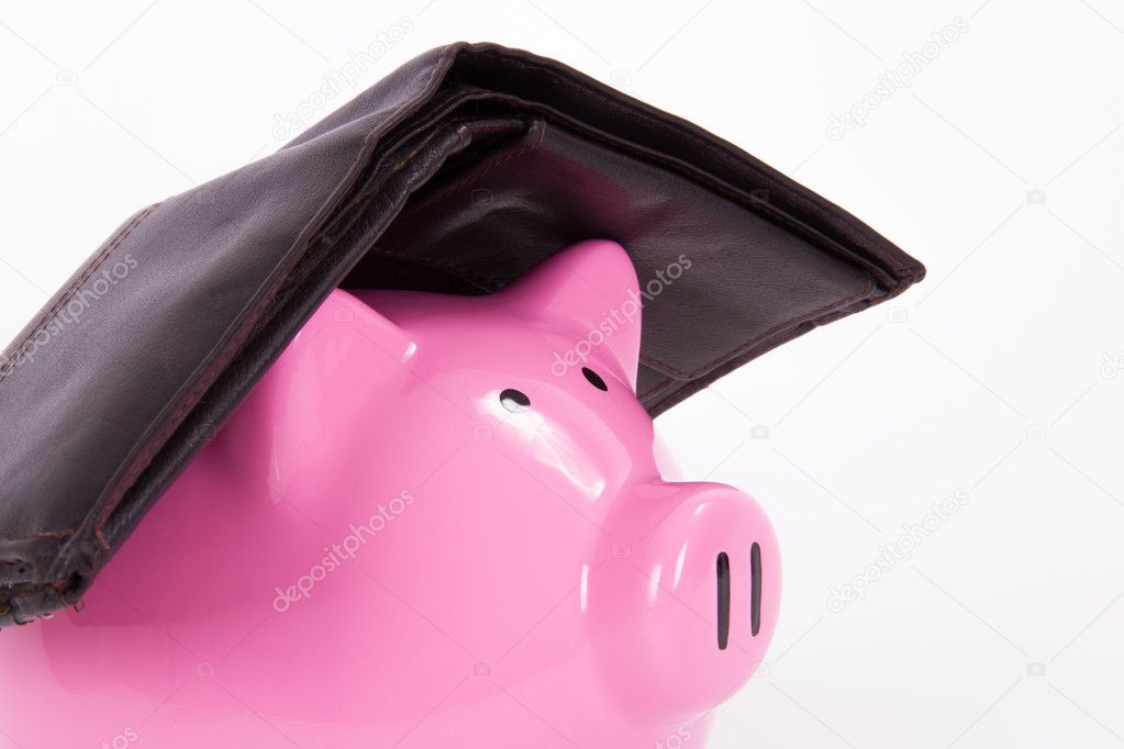piggy bank purse