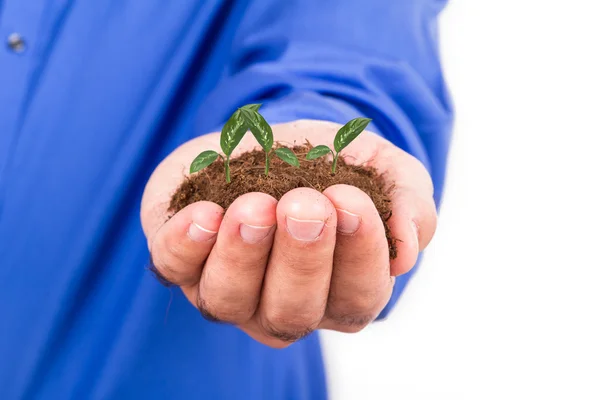 Geschäftsmann, der Boden und Pflanzen hält — Stockfoto