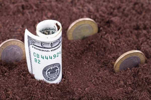 Dinheiro no solo — Fotografia de Stock