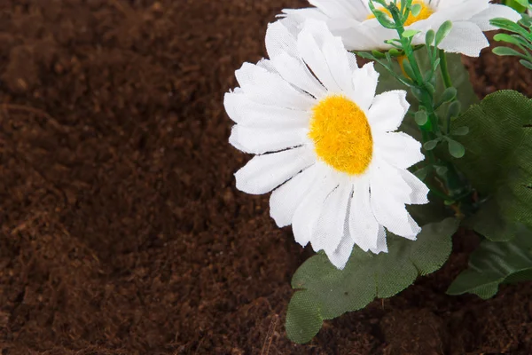 Konstgjord blomma på mark — Stockfoto