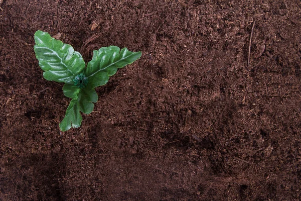 Fiore artificiale su terreno — Foto Stock