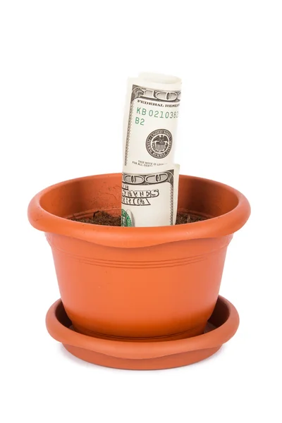 Flower pot och dollarn räkningar — Stockfoto