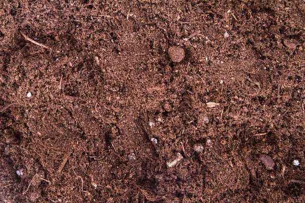 Soil Background — Stock Photo, Image