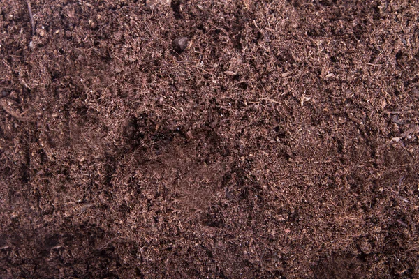 Soil Background — Stock Photo, Image