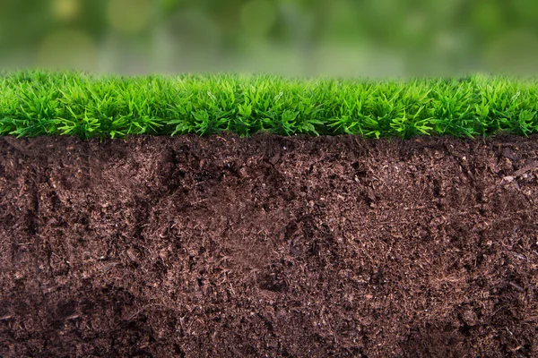 Почва под травой — стоковое фото