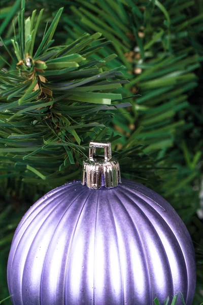 Árbol de Navidad con adorno — Foto de Stock