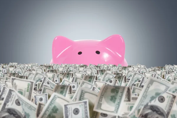 Dollarn gård med rosa spargris — Stockfoto