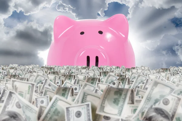 Piggy Bank Shining Behind Banknote Farm — Stock Photo, Image