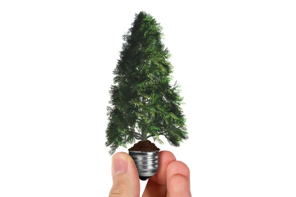 Albero di tenuta della mano in lampadina — Foto Stock