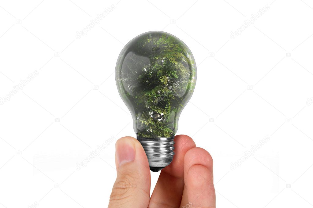 Hand Holding Tree in Light Bulb