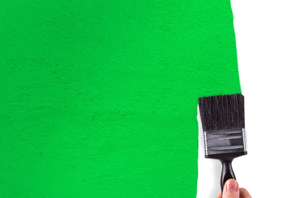 Mão pintura parede branca com verde — Fotografia de Stock