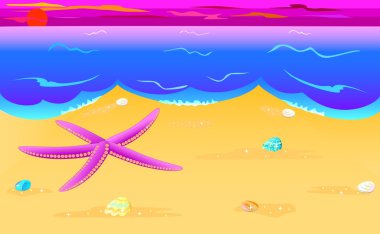 Deniz yıldızı ve deniz sahil üzerinde