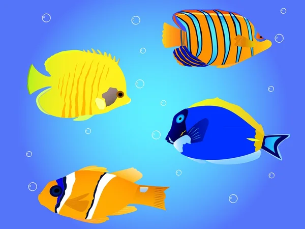 Colección de peces tropicales — Vector de stock