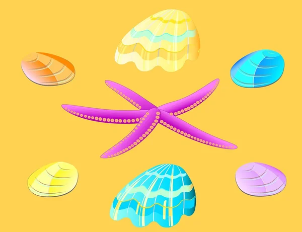 Conjunto de estrellas de mar y conchas marinas — Vector de stock