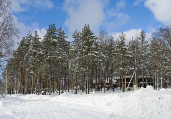 Wooden house in winter — Stock Photo, Image