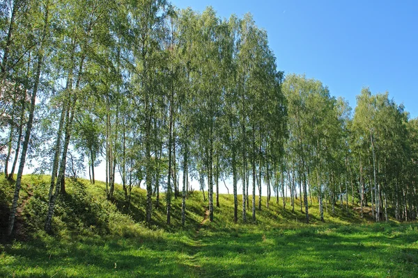 Vårens snösmältning — Stockfoto