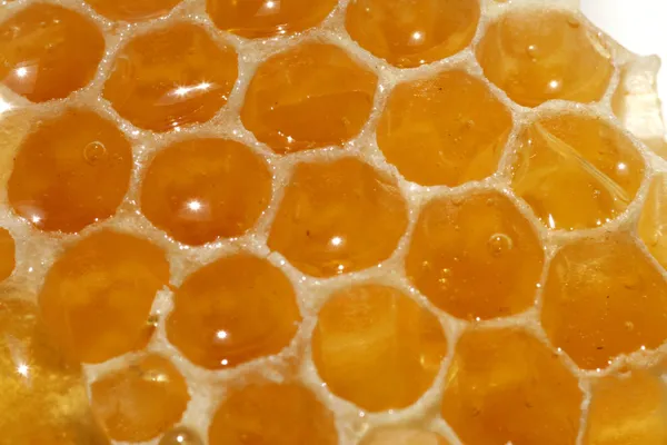 Miel jaune, nid d'abeille , — Photo