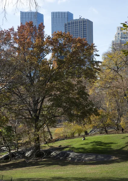 Nueva York, Manhattan, EE.UU. —  Fotos de Stock