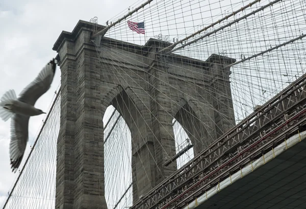 Brooklyn bridge, New York — Stockfoto