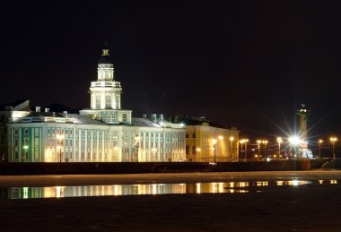 St. petersburg, şehir gece hayatı
