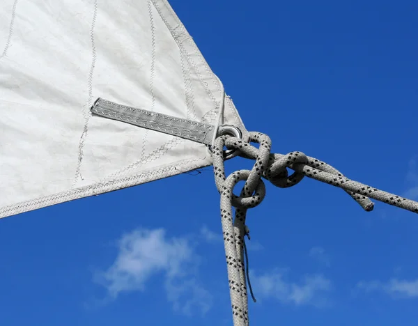 Segel, Yachten, Meer — Stockfoto