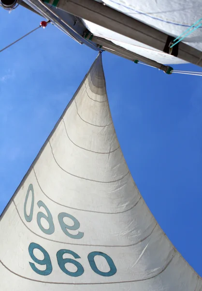 Vele, yacht, mare — Foto Stock