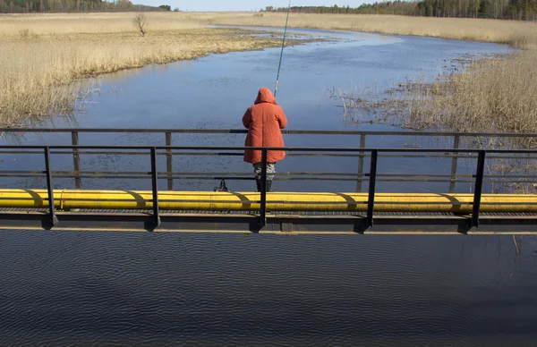 Pescar el río en la naturaleza — Foto de Stock