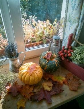 Büyük sarı ve yeşil balkabakları sonbahar yapraklarında uzanır pencere kenarında manzaralı bir pencere kenarında.