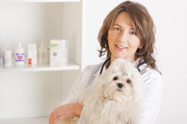 bir köpek tutan kadın veteriner