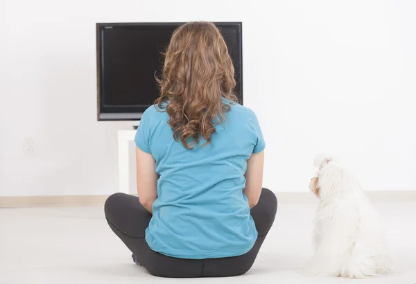 Kadın ve köpek birlikte tv izleme — Stok fotoğraf