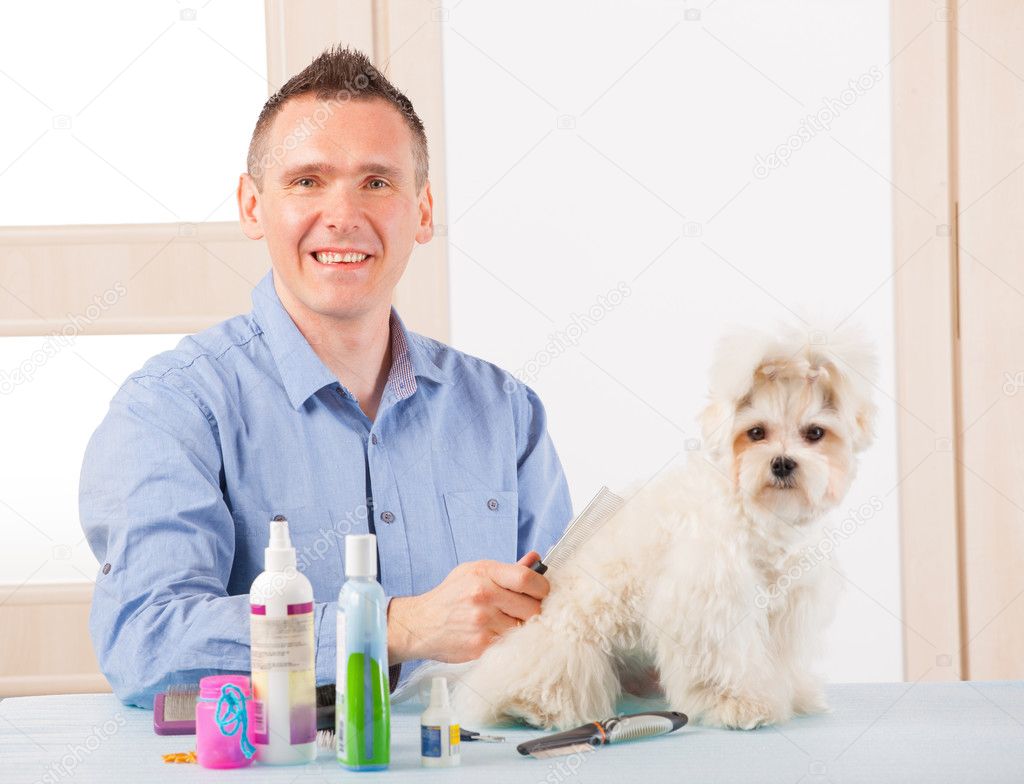 Dog grooming — Stock Photo © Amaviael 24514741