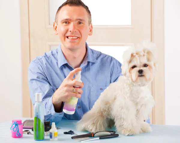 Dog grooming — Stock Photo, Image