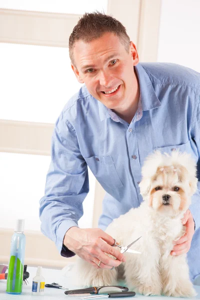 Dog grooming — Stock Photo, Image