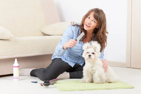 Dog grooming — Stock Photo, Image