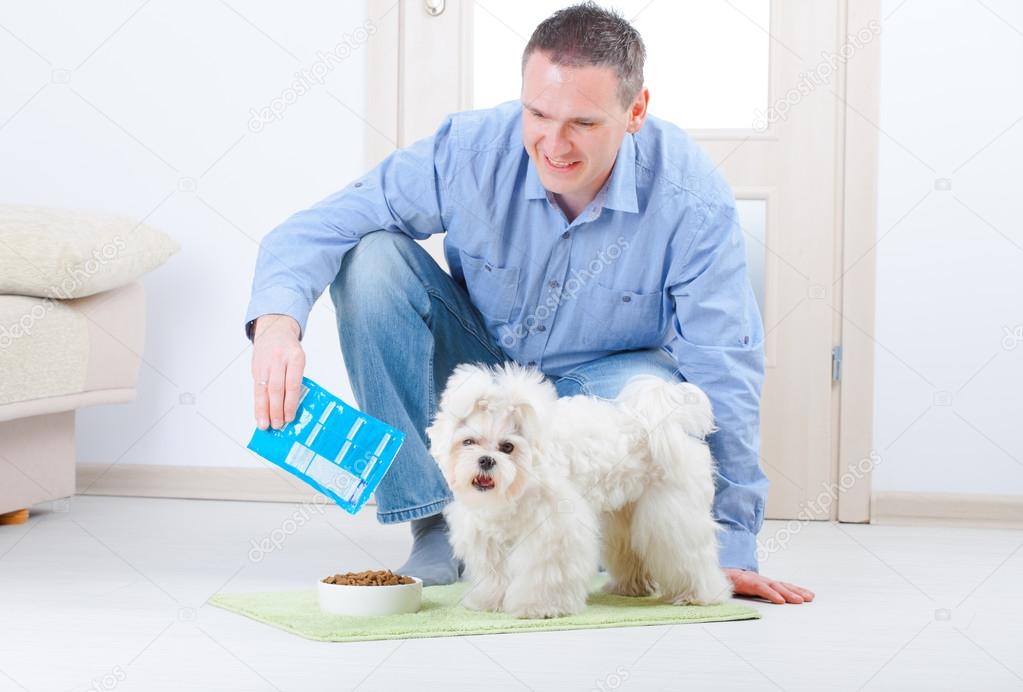Dog and owner