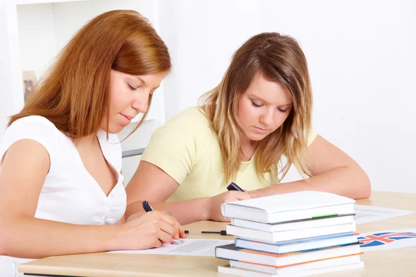 Students learning at desk — Stock Photo, Image