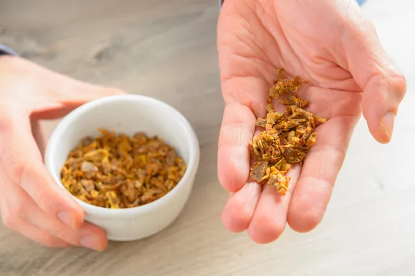 Propolis — Stock Photo, Image