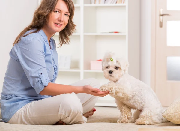 Dog and owner — Stock Photo, Image