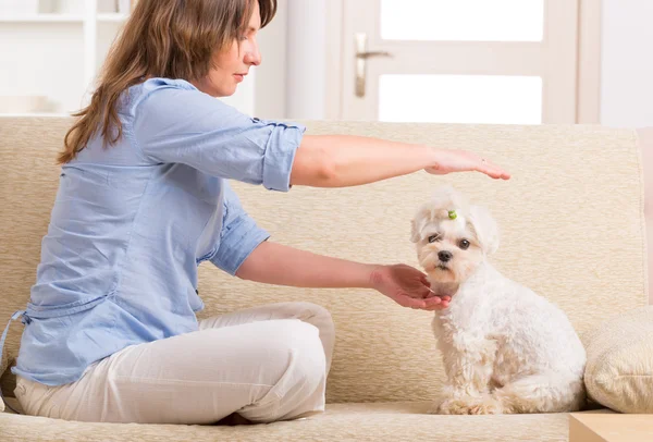 Mujer practicando terapia de reiki — Foto de Stock