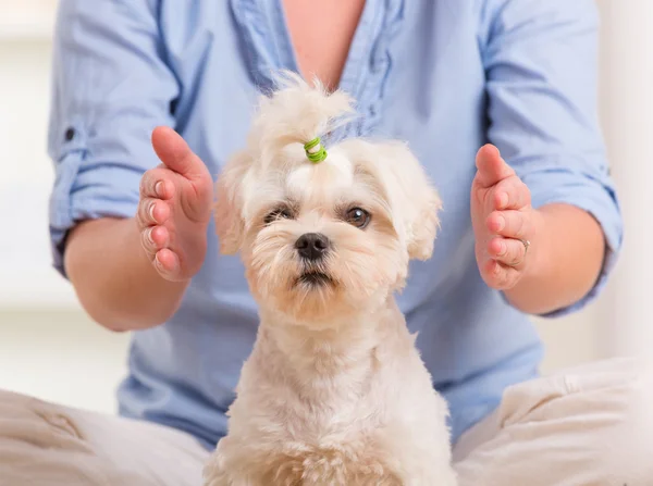 Mulher praticando terapia reiki — Fotografia de Stock