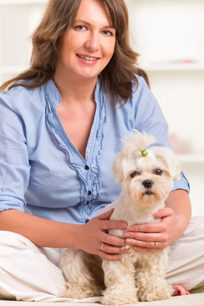 Dog and owner — Stock Photo, Image