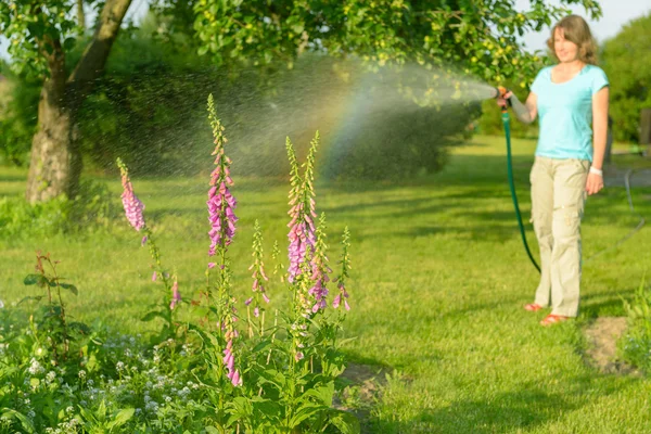 Женщина поливает цветы в саду — стоковое фото