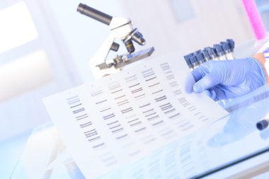 DNA analizanalizzando il dna