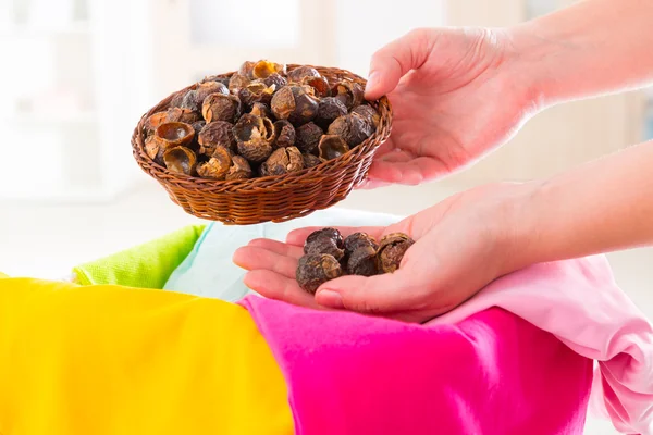 Soap nuts — Stock Photo, Image