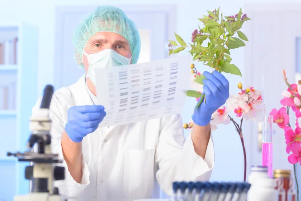 Analizing Dna Gmo — Stockfoto