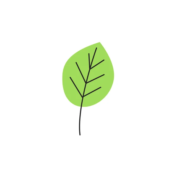 Ανοιχτό Πράσινο Φρέσκο Φθινοπωρινό Φύλλο Φλέβες Απομονωμένες Λευκό Φόντο Φθινοπωρινή — Διανυσματικό Αρχείο