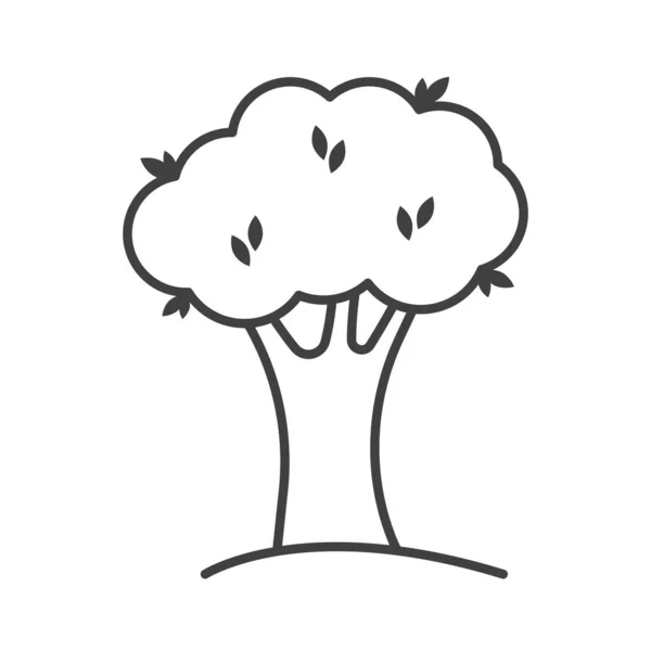 Icono de árbol caduco. Una simple imagen lineal de la naturaleza. Vector sobre fondo blanco. — Vector de stock