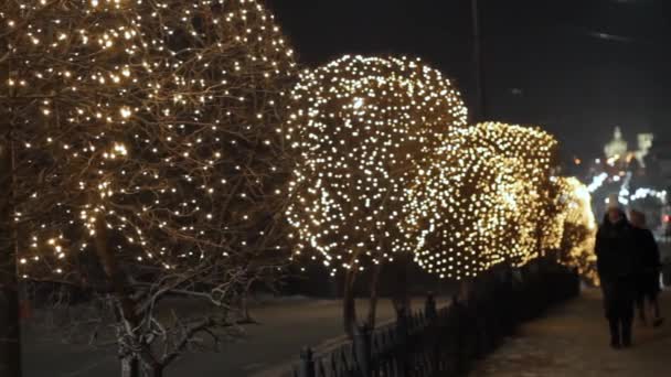 Nattlig Dekorativ Belysning Träd Längs Trottoaren Vid Gatuvägen Stadskörtelljus Och — Stockvideo