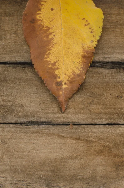 Leaf with old plank — Zdjęcie stockowe